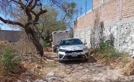 Hallan a perro con un brazo humano en Silao: descubren costales con 2 cuerpos