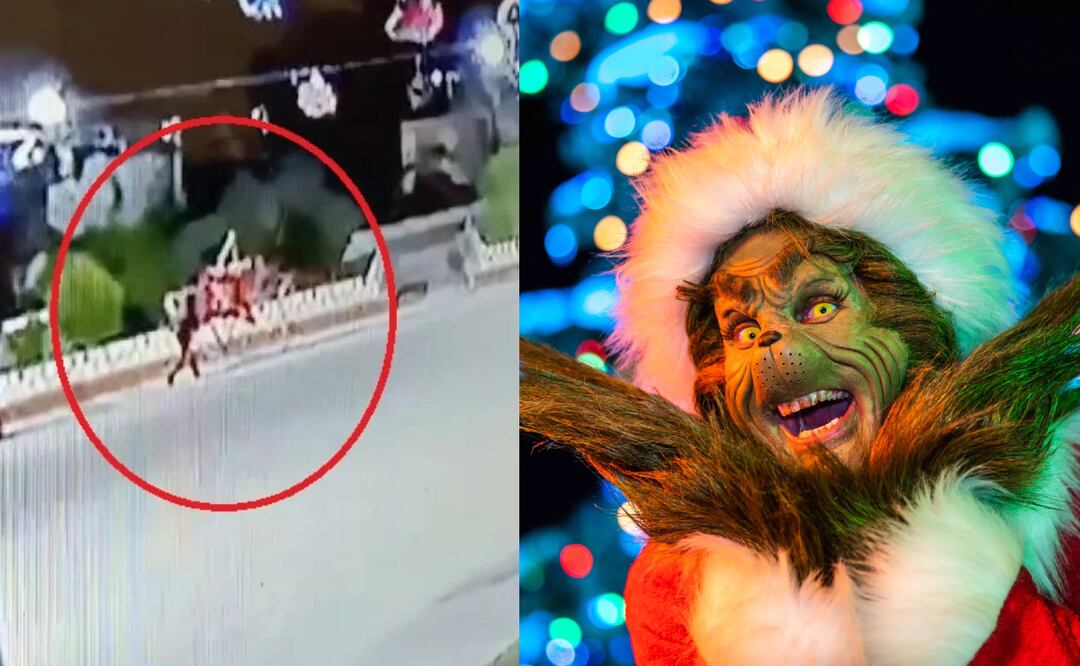 Grinch de Hidalgo. Foto: Captura de video/EFE