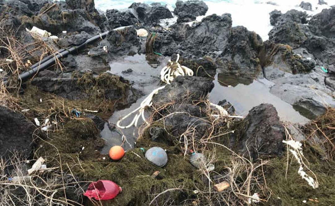 La definición de ecocidio surgió en 2021 de un Panel de Expertos Independientes integrados por juristas de todo el mundo que, según esta fundación, ha adquirido respaldo jurídico y político. Foto: IStock