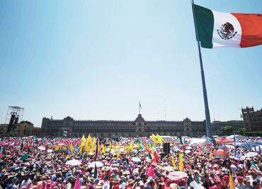 Marea Rosa entregará firmas en contra de la sobrerrepresentación en el Tribunal Electoral