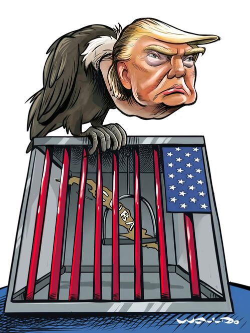 Cartón de WALDO