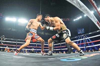 Vargas seguirá con peleas en EU