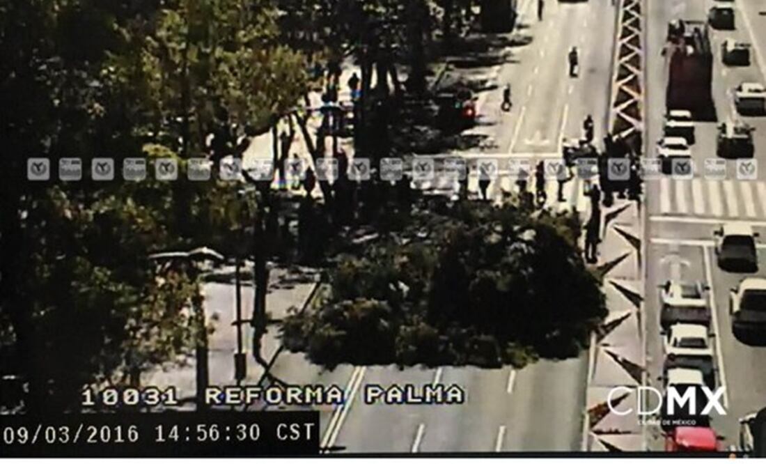 (Foto: @ciudad_segura)