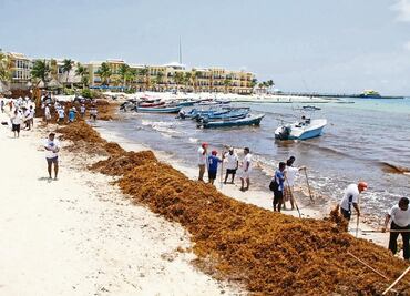 Sugieren decretar emergencia nacional por el sargazo en Cancún