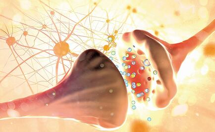 Mexican researchers seeking new treatments for schizophrenia