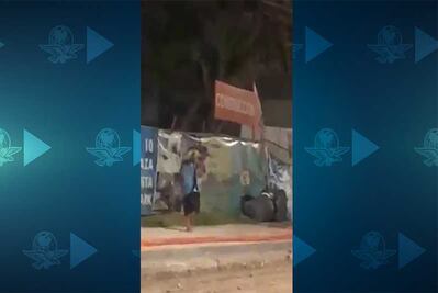 Captan a hombre cuando robaba una tortuga marina en Mazatlán