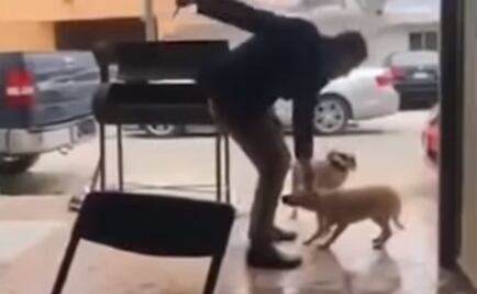 Muestran denuncia contra sujeto que apuñaló a perro al que ofrecía comida