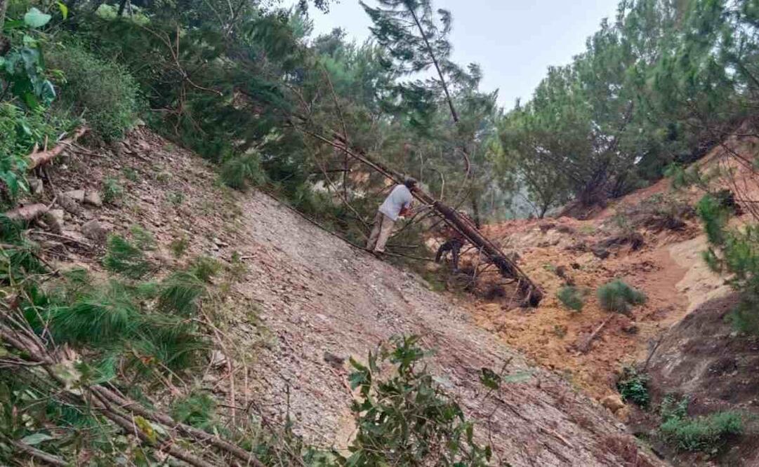 Por las constantes lluvias de este 23 de septiembre de 2024, algunas comunidades de la Sierra Sur también se han visto severamente afectados sus caminos y la carretera principal 125, que va de la Mixteca a la Costa. Foto: Especial