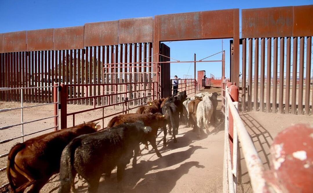 Foto: Gobierno de Sonora