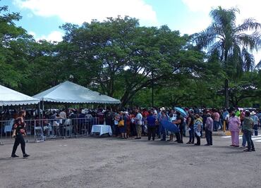 Llevan en autobuses a votantes en elección de Morena en Culiacán