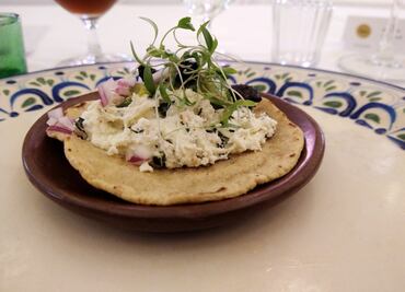 Bichos, un tesoro de la gastronomía mexicana