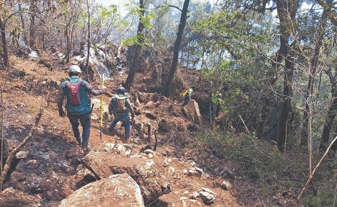 En varios municipios de San Luis Potosí continuaban los trabajos para sofocar los ocho incendios forestales que, hasta ayer, permanecían activos. (08/04/2025) Foto: Especial