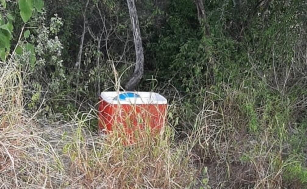 Aseguran hielera con marihuana y metanfetamina en Reynosa