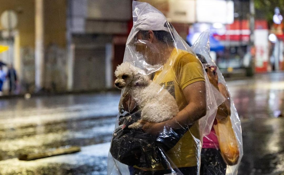 Lluvia registrada en la Ciudad de México. Foto: Hugo Salvador / EL UNIVERSAL