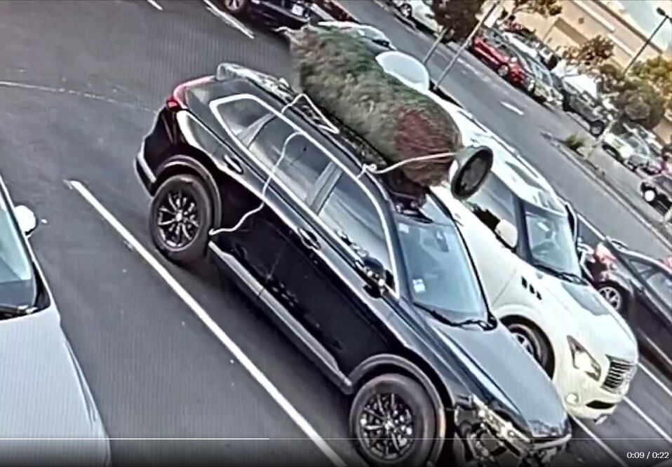 Una cámara de seguridad captó el momento en que una mujer se roba el árbol de Navidad que estaba en otra camioneta, en San Mateo, California. FOTO: Captura video