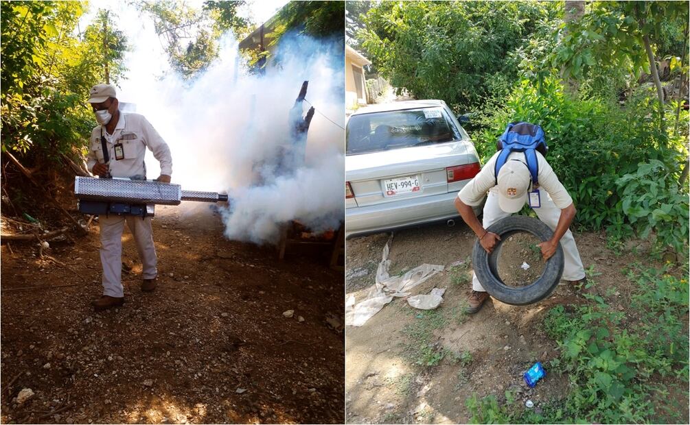 Guerrero se coloca en cuarto lugar nacional por casos de dengue; refuerza medidas de prevención. Foto: Especial