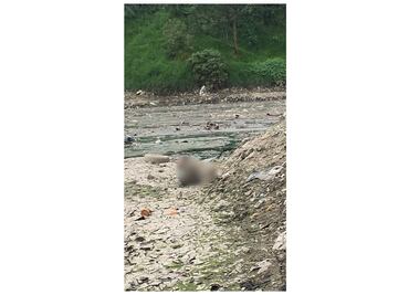 Encuentran cadáver a orilla de una presa en Álvaro Obregón