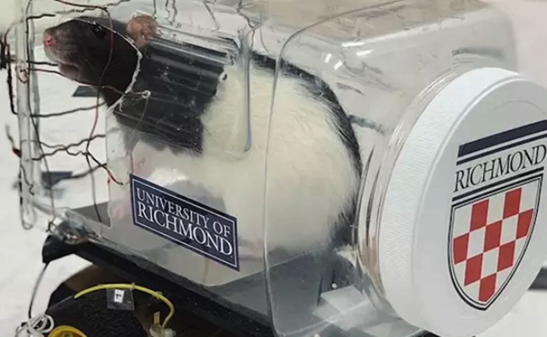 Foto: UNIVERSIDAD DE RICHMOND