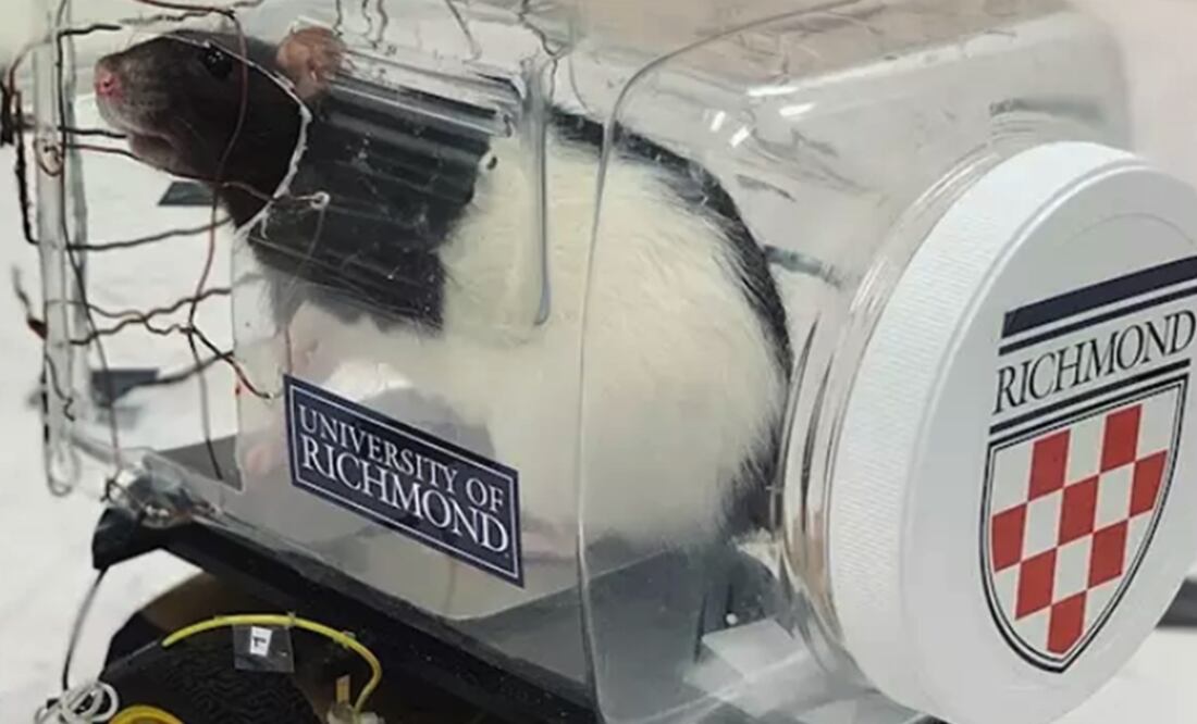Foto: UNIVERSIDAD DE RICHMOND