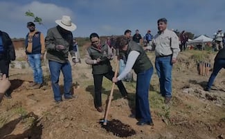 Delfina Gómez encabeza reforestación en Edomex; autoridades siembran 4 mil árboles en La Cañada