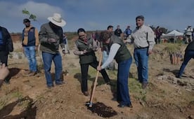 Delfina Gómez encabeza reforestación en Edomex; autoridades siembran 4 mil árboles en La Cañada