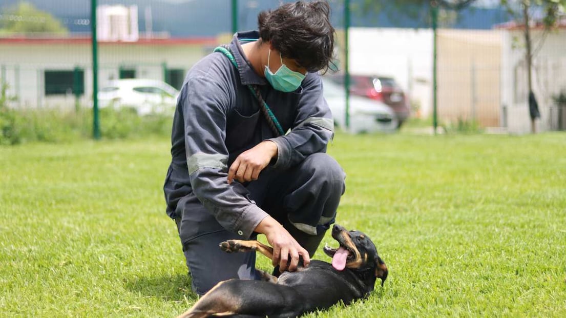 Foto: Cortesía Ciudad Maderas