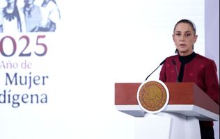 Gusano barrenador: planta de moscas, condición de EU para reabrir frontera; aceleran trabajos para que esté lista, dice Sheinbaum