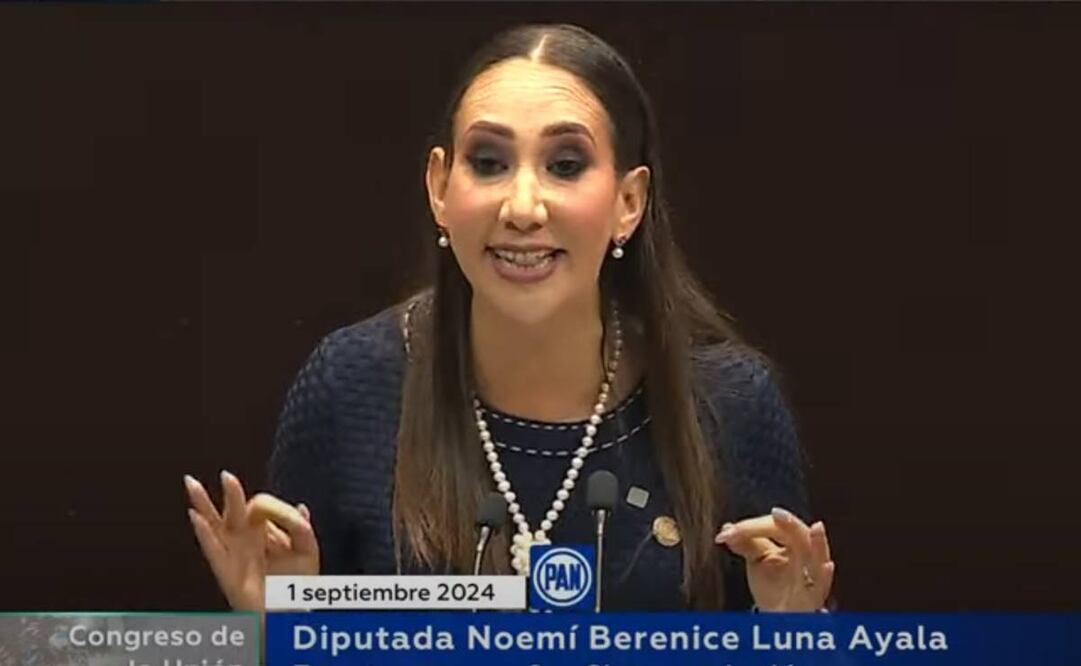 Noemí Berenice Luna Ayala, diputada del PAN. Foto: Captura de pantalla