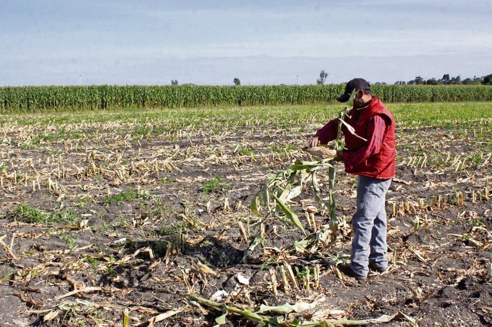 Para confrontar las consecuencias de la sequia se necesita inversión en infraestructura de agua