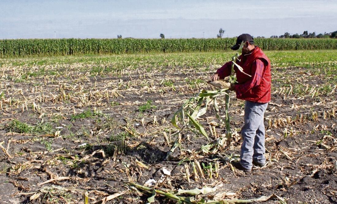 Para confrontar las consecuencias de la sequia se necesita inversión en infraestructura de agua