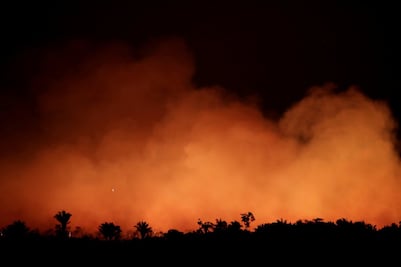 Cómo afecta al mundo el incendio en el Amazonas