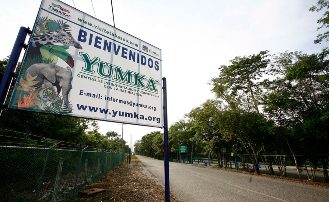 (Foto: Archivo/El Universal) 