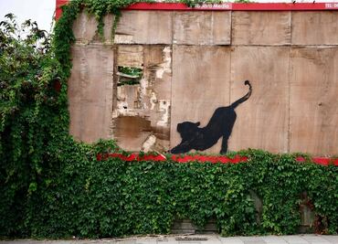 Banksy amplía el "zoológico de Londres" con una nueva obra con un gato como protagonista