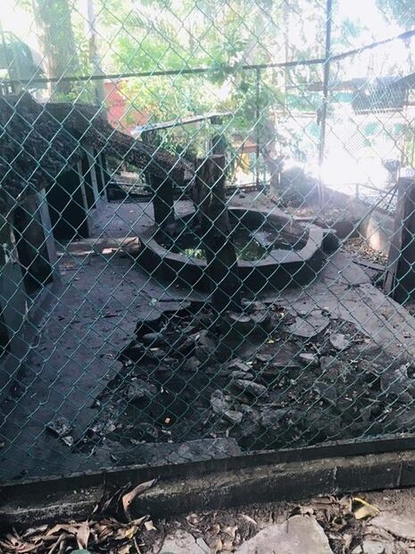 Denuncian abandono en zoológico de Veracruz; autoridades lo niegan