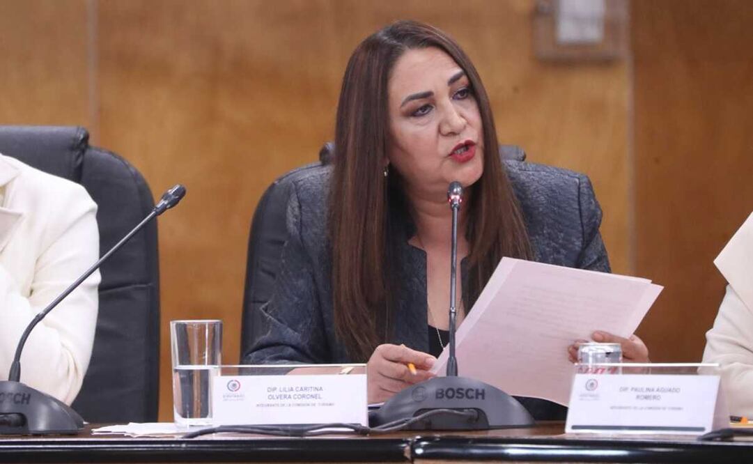 La diputada panista Lilia Caritina Olvera Coronel impulsa una iniciativa