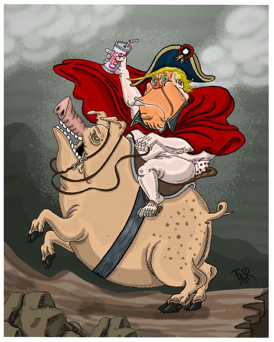 Cartón de FER