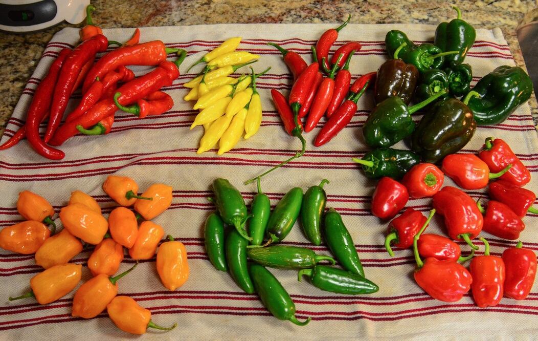 Las propiedades del chile habanero son tantas que, incluso, ayuda a las personas con VIH (Crédito:  Foter.com)