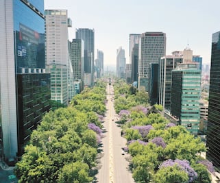 Luz verde a 17 grandes proyectos en Reforma