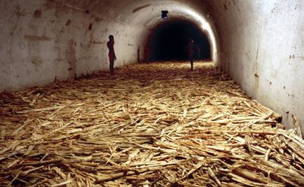 El MoMA abre exposición de Tania Bruguera