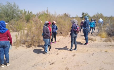 Colectivos de buscadoras encuentran 4 osamentas y huesos calcinados en Sonora