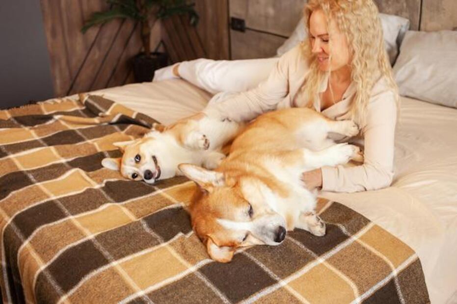 Incontinencia urinaria en perros. Fuente: Freepik.