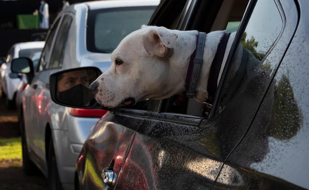 Foto ilustrativa: AP