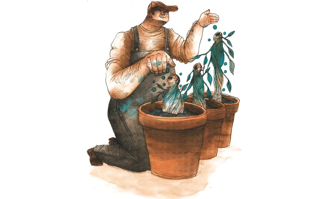 Ilustración: ROSARIO LUCAS