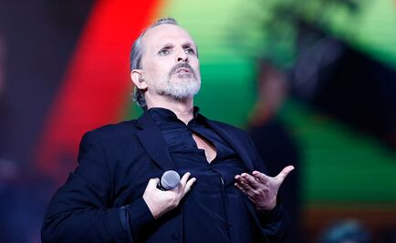 Citarán a Miguel Bosé en juicio contra su madre