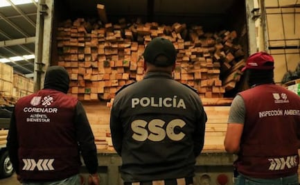 Aseguran más de 115 metros cúbicos de madera ilegal en Iztacalco; es uno de los decomisos más importantes de los últimos años: Semarnat
