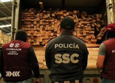 Aseguran más de 115 metros cúbicos de madera ilegal en Iztacalco; es uno de los decomisos más importantes de los últimos años: Semarnat