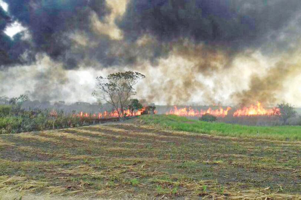 En Veracruz se originó un incendio en el poliducto Minatitlán-México. Integrantes de bandas de chupaductos realizaron una toma clandestina; sin embargo, sobrevino un incendio de grandes proporciones (PATRICIA MORALES. EL UNIVERSAL)