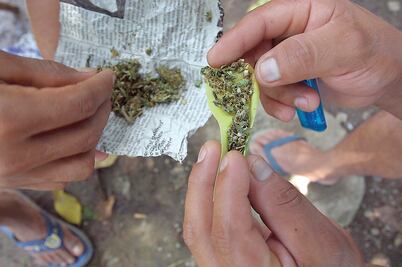 Ven ventaja económica en legalización de la marihuana