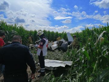 Avioneta se desploma en Chihuahua; mueren cuatro