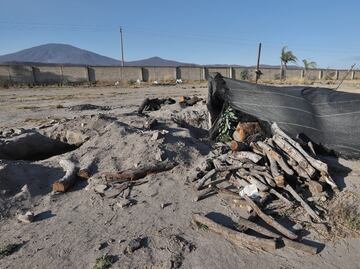 Caso Teuchitlán: “Esperaban encontrar hornos como donde hacen el pan”; buscadores rechazan versión de fiscalía estatal